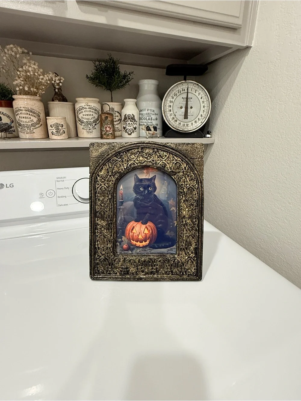 Vintage showcases black